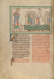 The Harp-Playing Victors on the Sea of Glass by Unbekannt Unbekannt
